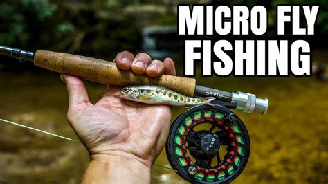 Micro Fly Fishing For Trout In Tiny Creek Youtube