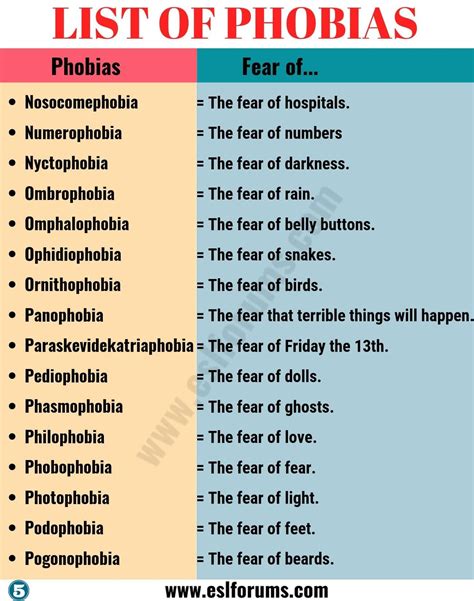 List Of Phobias Learn 105 Common Phobias Of People Around The World