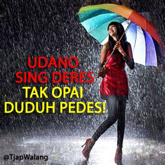 Kamu juga bisa jadikan update status di bbm, fb, wa, ig, dll. DP BBM LUCU GOKIL IMUT DALAM BAHASA JAWA TERBARU ~ Info Unik, Lucu, Menarik, DP BBM , Dp WA, DP Line
