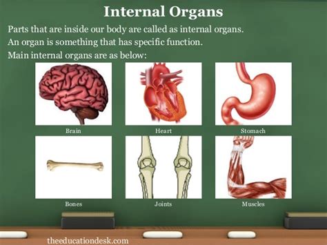 environmental science evs body parts class ii