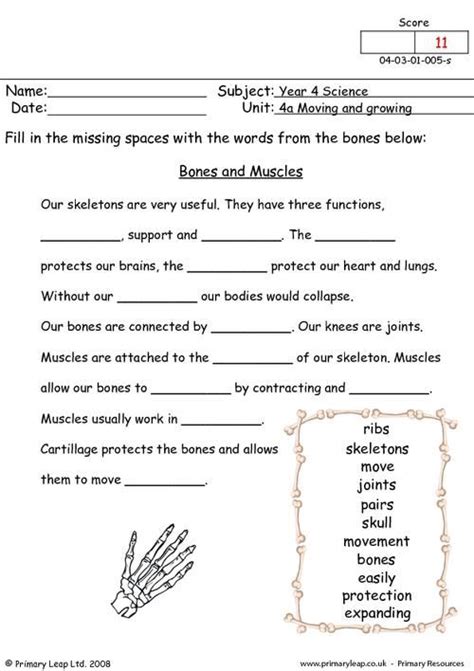 PrimaryLeap.co.uk - Bones and muscles Worksheet | school things