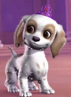 Barbie Dog, Princess Charm School, 12 Dancing Princesses, Cocker