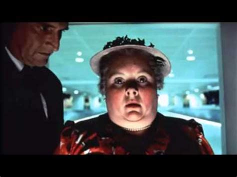 Registros notables del puerco espín tropical sphiggurus mexicanus (erethizontidae) en el estado de oaxaca, méxico. Puerco puerco puerco - YouTube