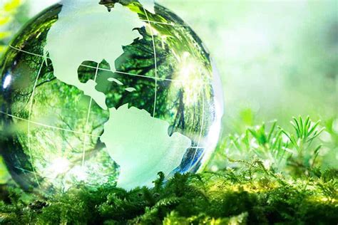 Events industry launches landmark global sustainability principles ...