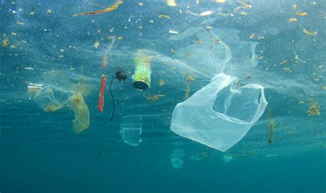 9 Tips For Reducing Plastic Waste The Oceans Will Thank You Vegnews
