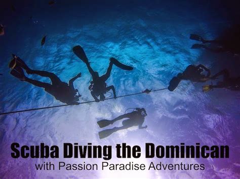 Samantha Angell Travel And Lifestyle Blog Scuba In Paradise Passion Paradise Adventures