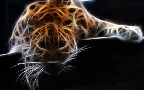Leopard Wildlife Adobe Photoshop Fractalius Wallpapers Hd Desktop
