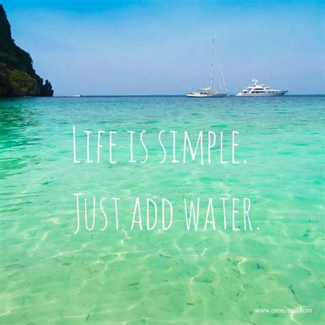 Positive mind, postive vibes, positive life. Pin by Jessica Preston on Quotes | Beach quotes, Sailing quotes, Ocean quotes