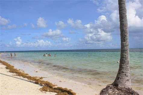 Cabeza De Toro Punta Cana
