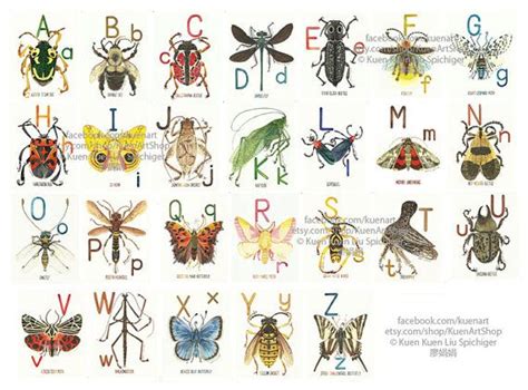 A To Z Insect Alphabet Letter Art Prints Nursery Wall Art Kids Room