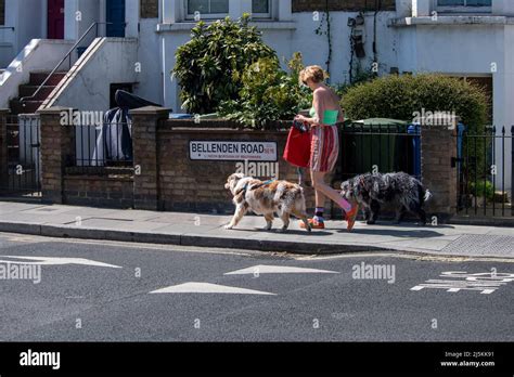 London Dog Walkers Hi Res Stock Photography And Images Alamy