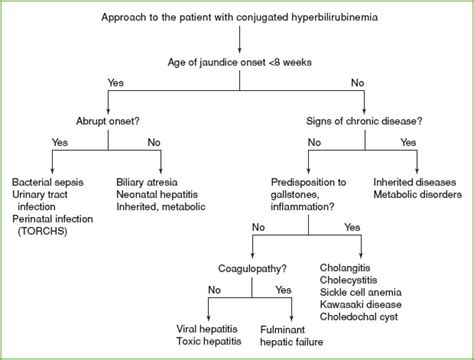 Hyperbilirubinemia Pathophysiology
