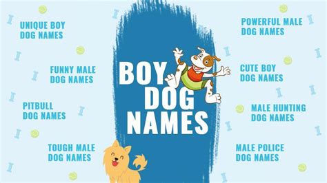 2020 Best Boy Dog Names Backed With Complete Meanings Petmoo