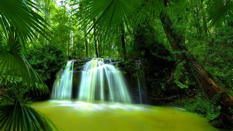 Free Download Beautiful Nature Waterfall Green Forest Hd Wallpaper