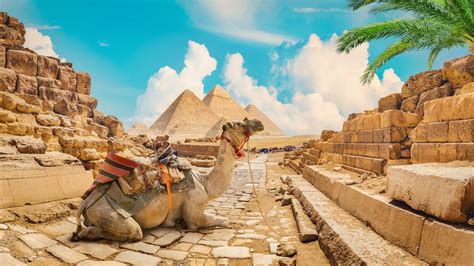 why you should add a camel ride at the pyramids of giza to your bucket list