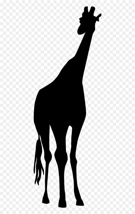 Giraffe Safari Black Tall Png Image Giraffe Svg Silhouette