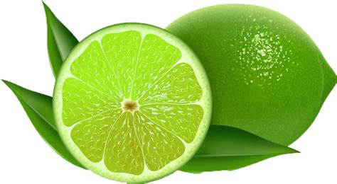 Download Transparent Lime Clipart Sweet Lime Fresh Lemon Clip Art