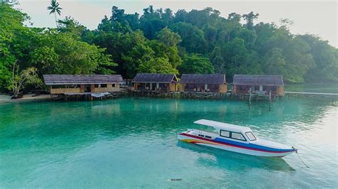 Hamueco Dive Resort Raja Ampat In Waisai Best Rates And Deals On Orbitz