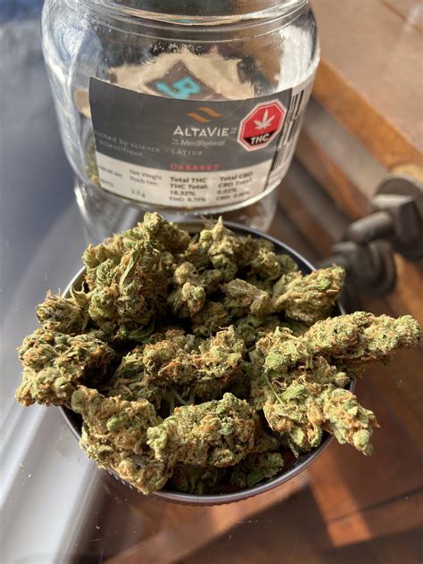 With tgv, you can discover france at high speed. AltaVie Cabaret (sweet island skunk)thc 18.32 pkg oct/7 ...