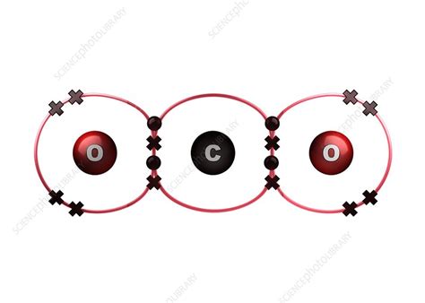 Bond Formation In Carbon Dioxide Molecule Stock Image C0286475
