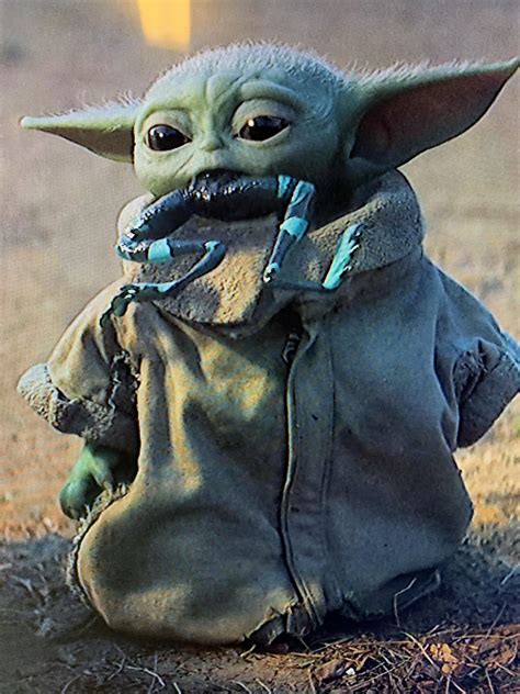 Baby Yoda Likes Frogs Rbabyyoda Baby Yoda Grogu Know Your Meme