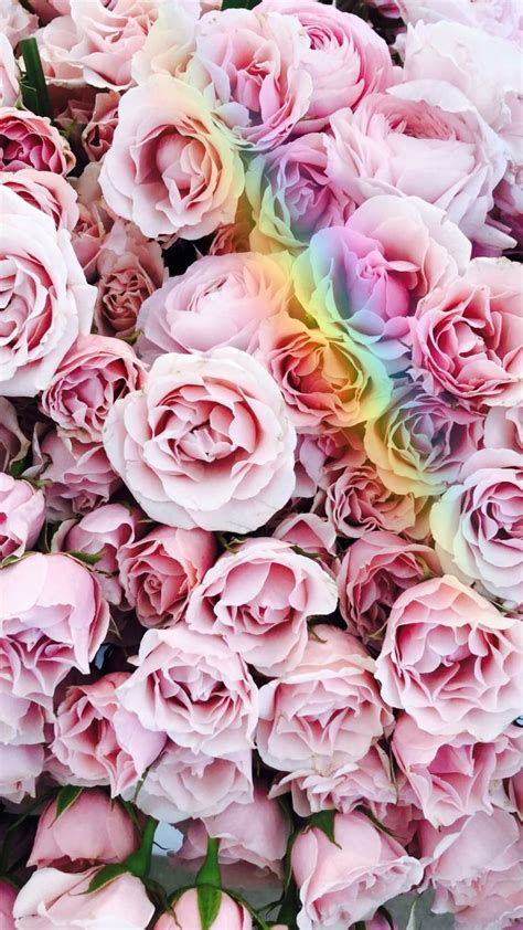 Beautiful Pinterest Enchantedinpink Flower Wallpaper Pretty