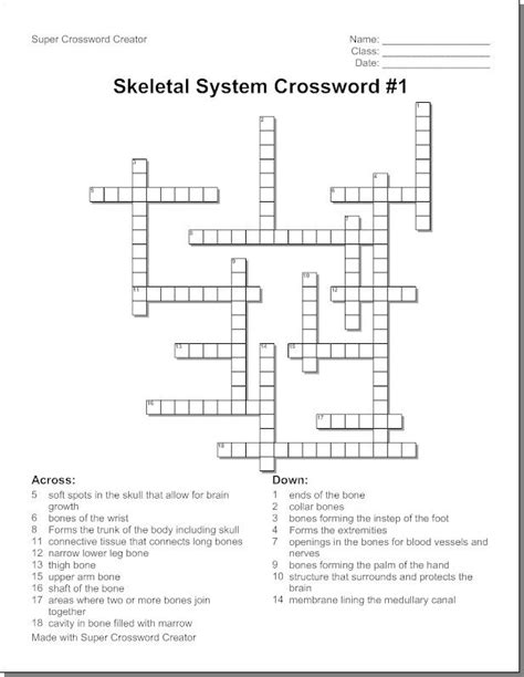 Crossword covering the terminology that will be introduced when discussing connective tissue with anatomy. skeletal-system-crossword-puzzle-humananatomy-online ...