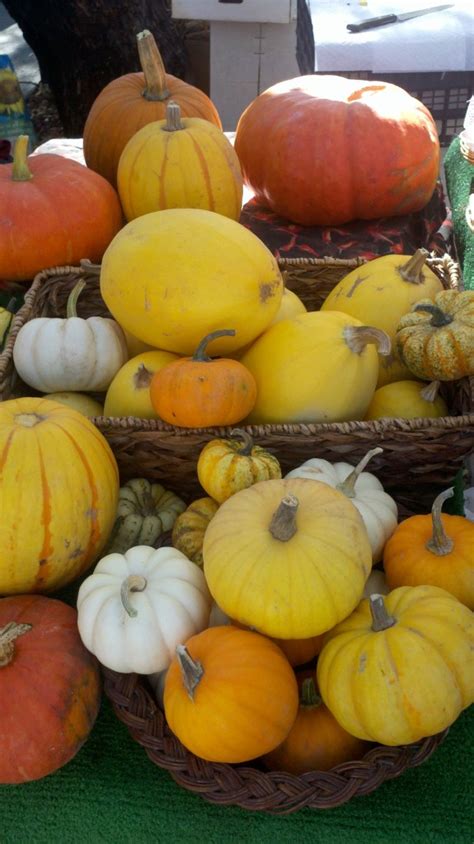 Acorn Squash Recipe For Autumn Ancestors In Aprons