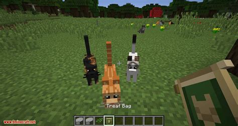 Simply Cats Mod 1204 1194 Adds A Ton Of Different Colored Cats 9minecraftnet