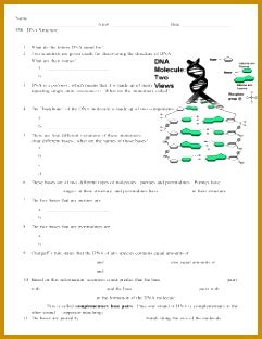 Free wall poster available from web site. 14.1 Human Chromosomes Answer Key Pdf + mvphip Answer Key