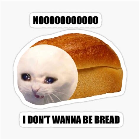 noo i don t wanna be bread meme cat sticker for sale by dweebdotpng redbubble