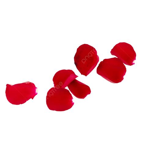 Rose Petals Clipart Png Images Flower Roses Petals Celebrate Holiday