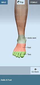 Symptom Checker For Ankle And Foot In 