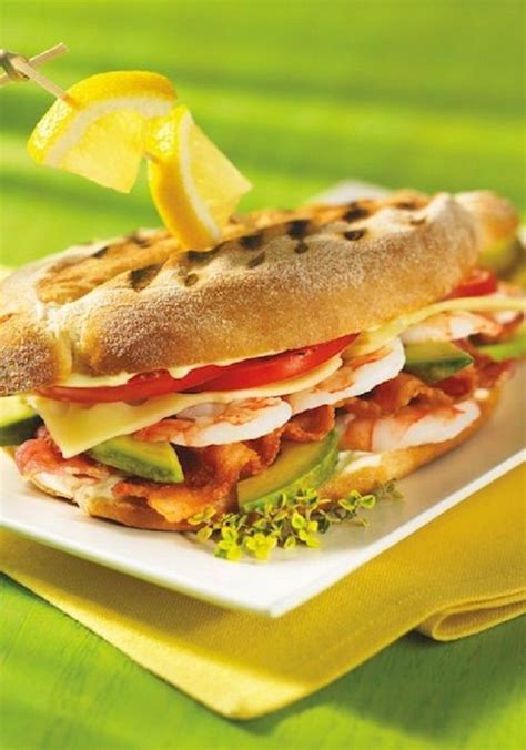 15 Tasty Panini Sandwiches World Inside Pictures