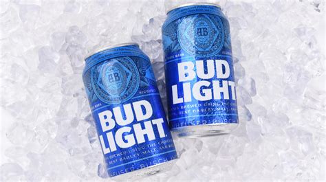 What Can Bud Lights Dilly Dilly Campaign Teach Your Small Business