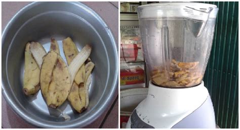 Ini 10 cara mudah menurunkan berat badan namun tak jarang pula, mereka ingin menurunkan berat badan dengan cara yang lebih cepat. Luar Biasa!! Ternyata Dengan Mengonsumsi Kulit Pisang Bisa ...
