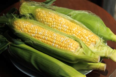 Guyanese Boiled Corn On The Cob Recipe