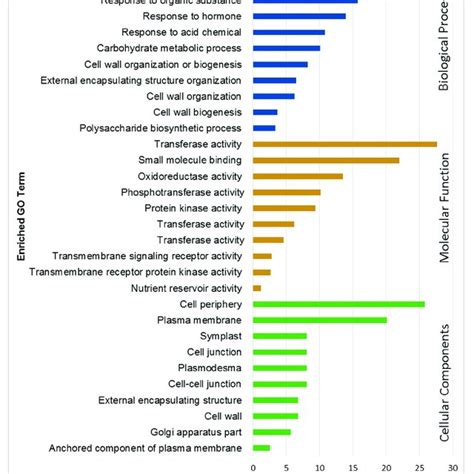 Top 10 Gene Ontology Terms Under Biological Process Molecular Function