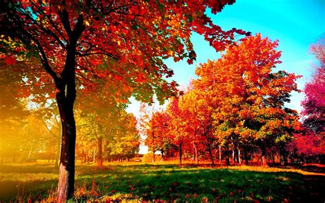 69 Fall Desktop Backgrounds ·① Download Free Amazing Backgrounds For