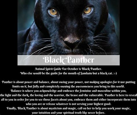 Black Panther Animal Spirit Guide