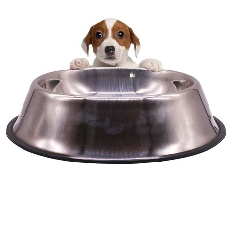 Check spelling or type a new query. 3 pcs Silver Pet Dog Cat Non slip Food Bowl Stainless ...
