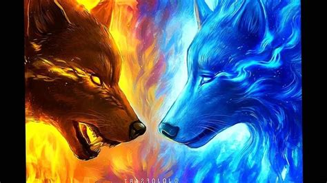Fire Wolf Wallpapers Free Download