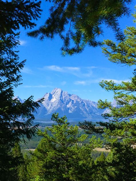 Grand Teton Peak Naturally Framed By Trees Smithsonian Photo Contest