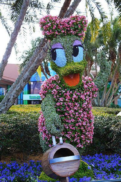 Después de que la planta está madura, las flores. Imágenes bonitas con flores y plantas | Disney garden ...