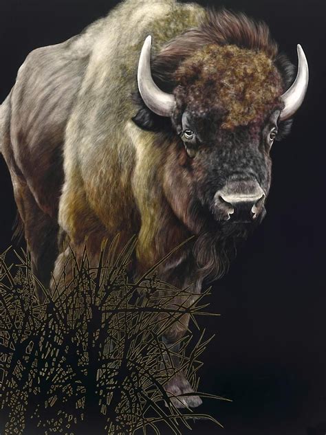 American Buffalo American Bison Bison Art Buffalo Art