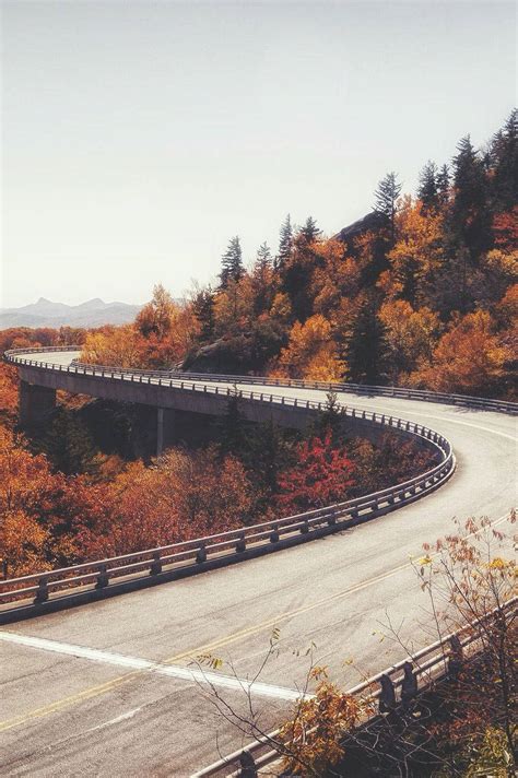 Download Long Bridge Nature View Fall Iphone Wallpaper