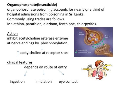 Organophosphate Poisoning And Management