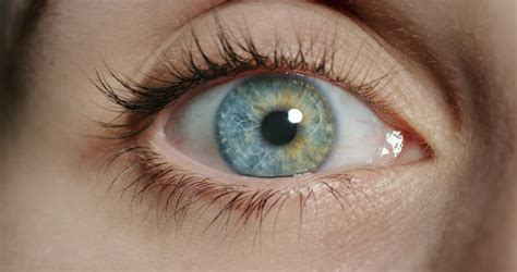 Close Up Beautiful Blue Eye Stock Footage Video 100
