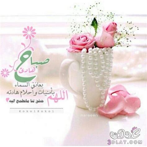 Download صور صباحية و مسائية apk android game for free to your android phone. اجمل صباحات جديدة - صور