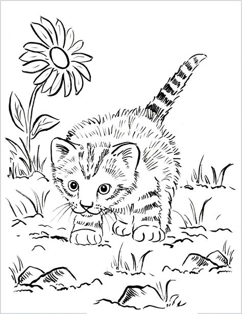 Pin On Free Coloring Pages For Adults